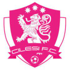 西莱西FC logo